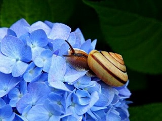 3i6dm7308wt197i5_IMG1616.jpg